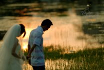 ��ɴ��Ӱ��